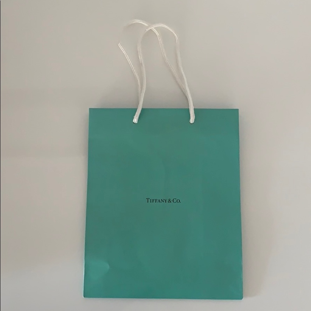 Tiffany & Co Medium Gift Bag